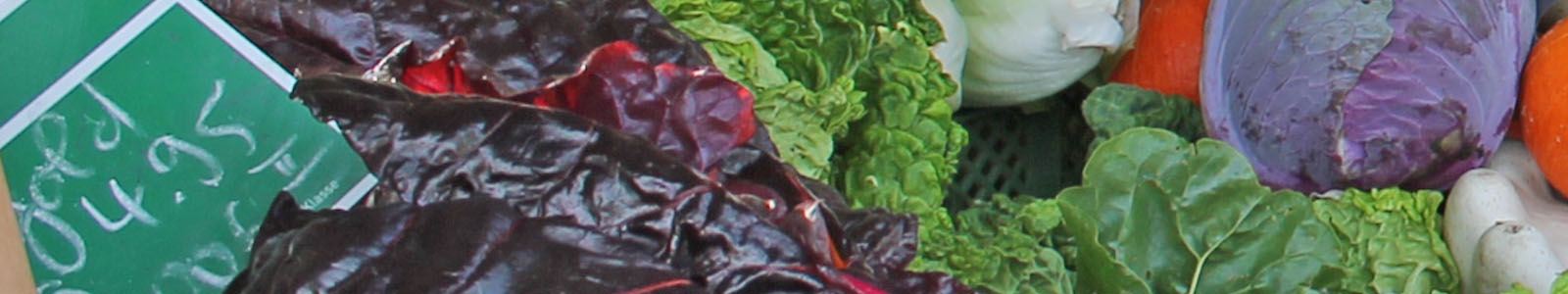 Salat und Rotkohl mit Verkaufsschild © Dienstleistungszentren Ländlicher Raum